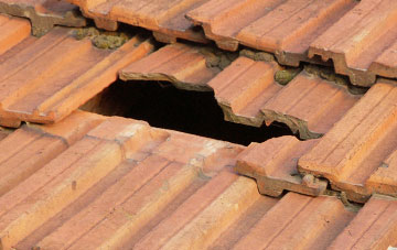 roof repair Old Goginan, Ceredigion